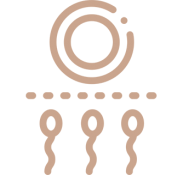 g-02.png