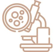 g-08.png